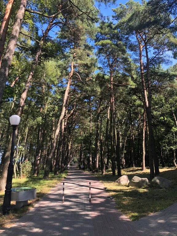 Квартира Однокомнатная квартира у моря и соснового бора — Пионерский