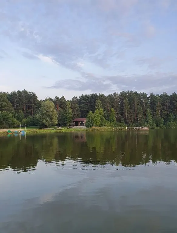 Квартира с кондиционером на берегу Обского моря в сосновом бору