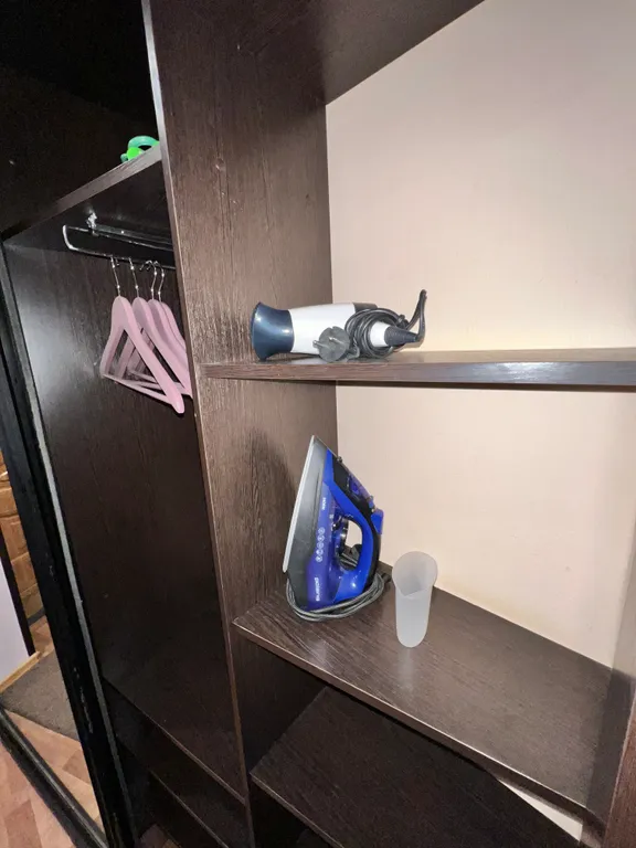 1-комнатная квартира в деловом и историческом центре города с новогодней елкой