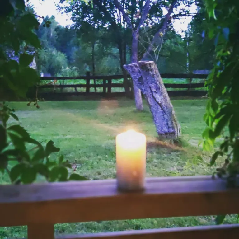 Уютный домик в Беловежской пуще, для тех, кто ценит тишину