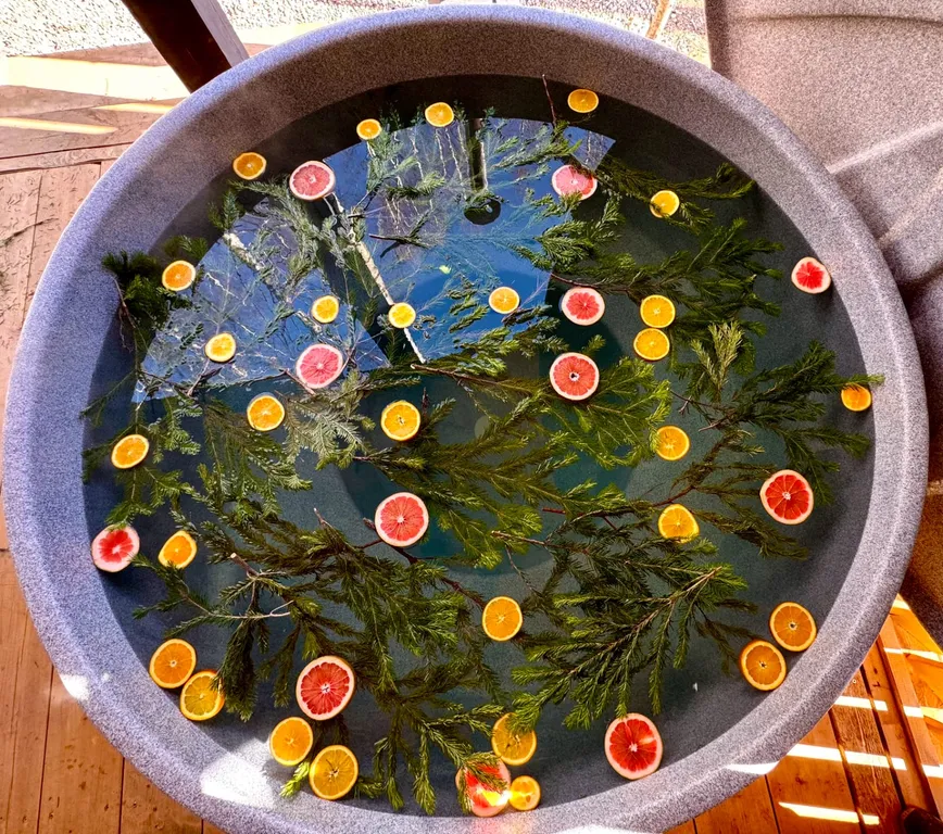 Коттедж Стильный Барн-Хаус с горячей купелью — Соловеново