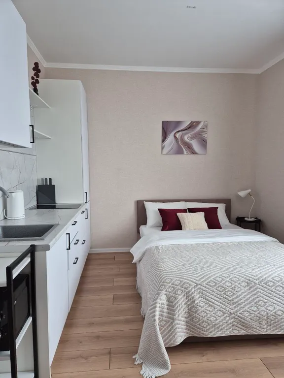 Квартира Квартира Студия Пино Нуар — Янино-1