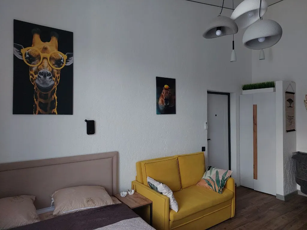 ДзенХоум Сафари