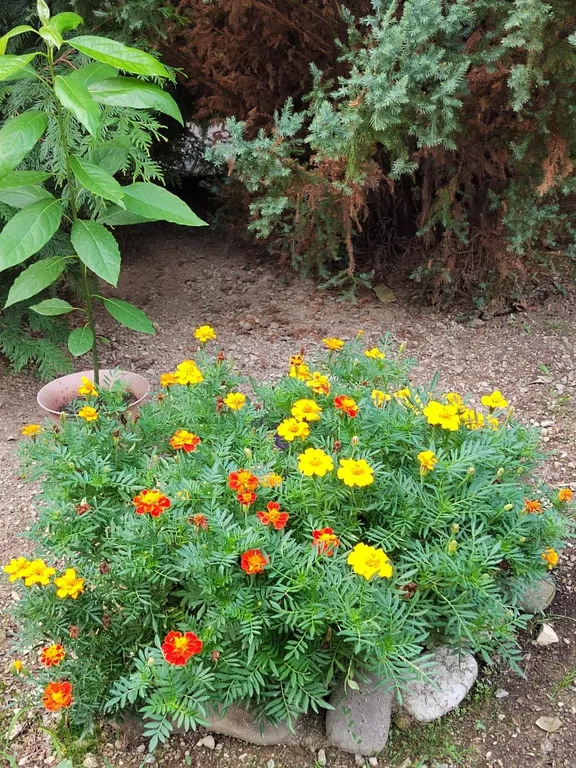 Дом в горах с видом на море