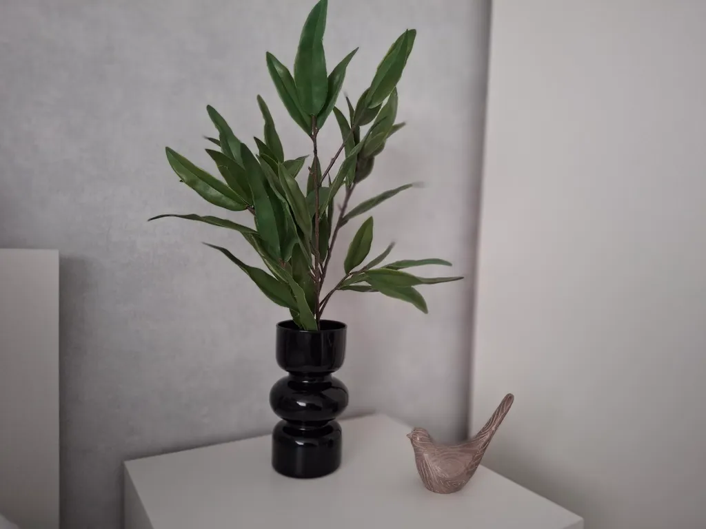 Апартамент душевный