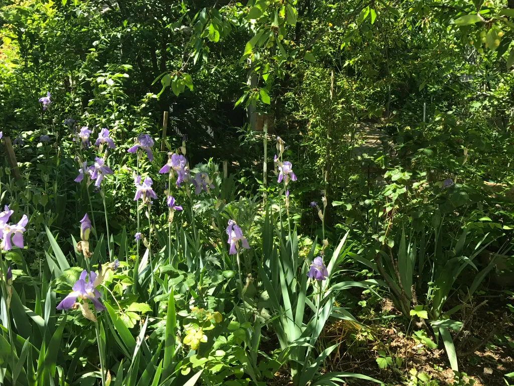 Домик у моря