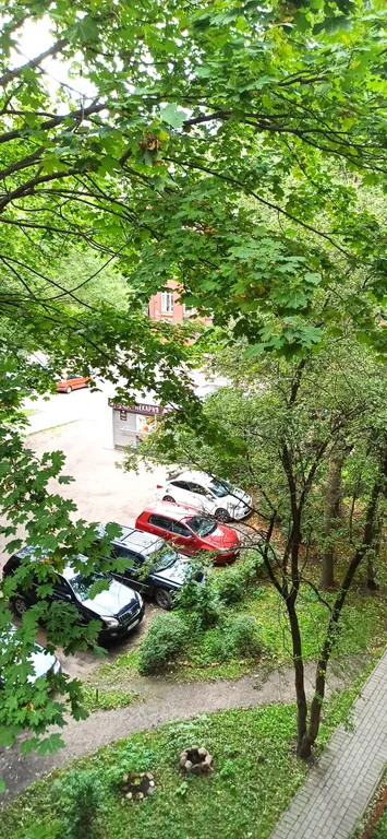 Квартира Квартира Sommer time - сердце города — Калининград