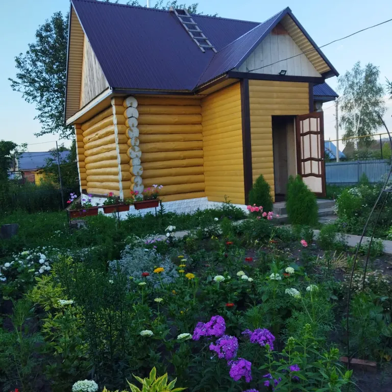 Домик в селе