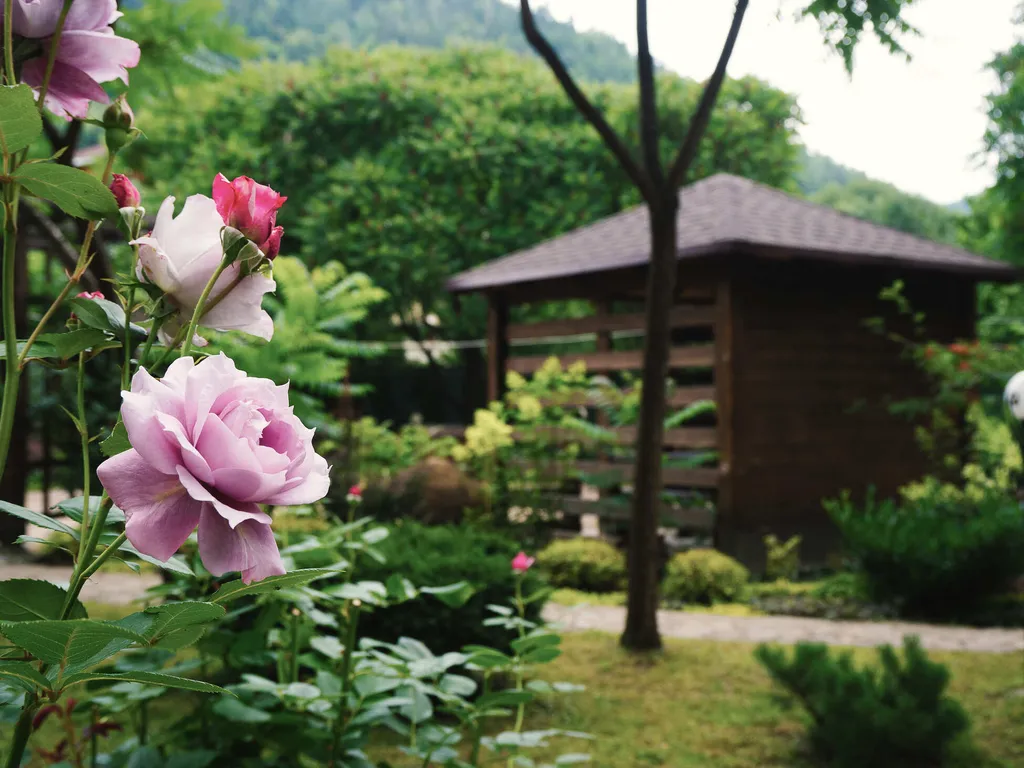 Коттедж в горном районе и на берегу реки