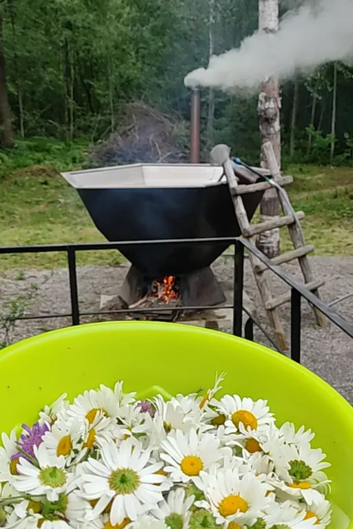 Коттедж Уютный домик №2 в лесу с двухъярусной кроватью — Кутузовское