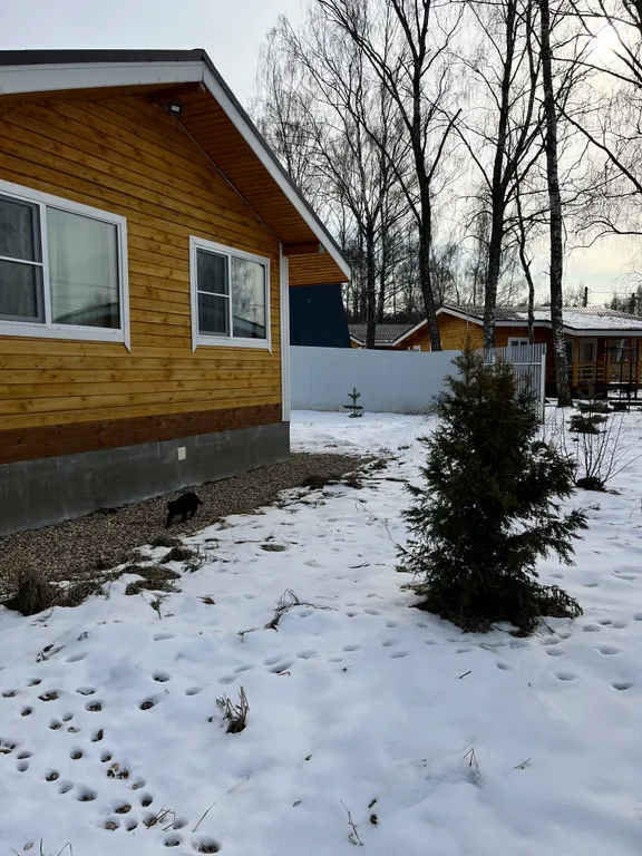 Коттедж Дом Чуковский на берегу Рузского водохранилища — аренда посуточно в Руза