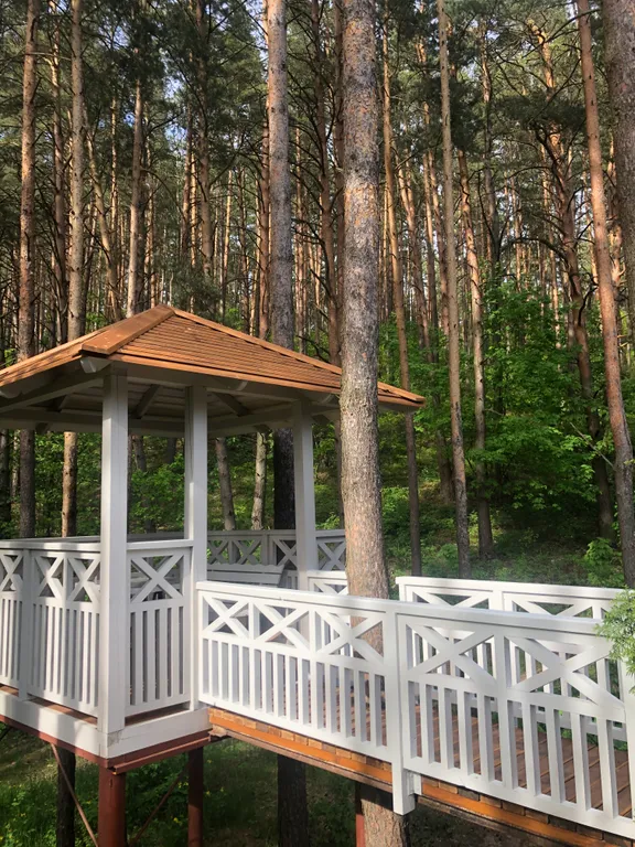 Уютный просторный номер в гостинице в сосновом лесу и на берегу озера