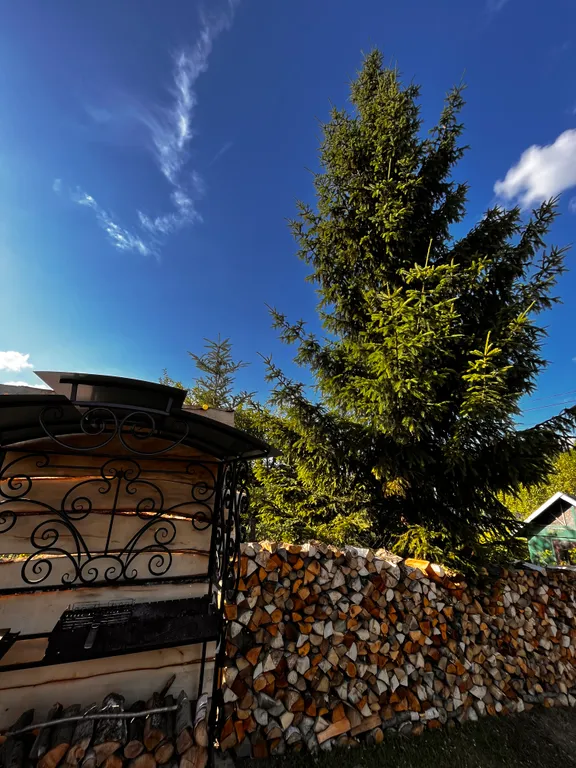 Дом афрейм романтический сказочный в 20 минутах от центра Калининграда