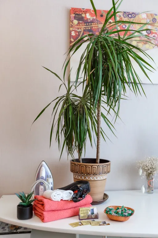 Недорогая 3-комнатная квартира в центре города