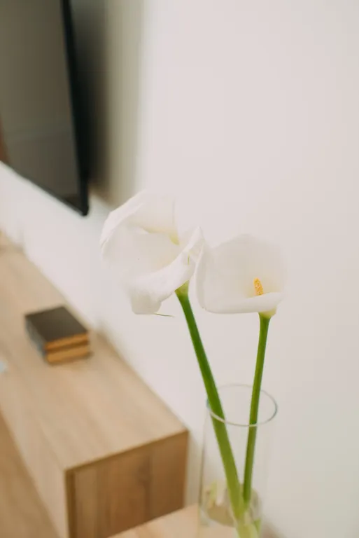 Rauschen Green 32/33