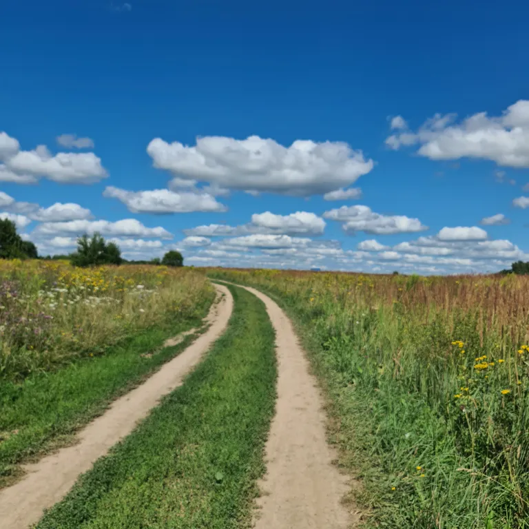 Дом на семи прудах