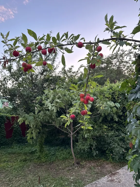 Комфортный дом у моря