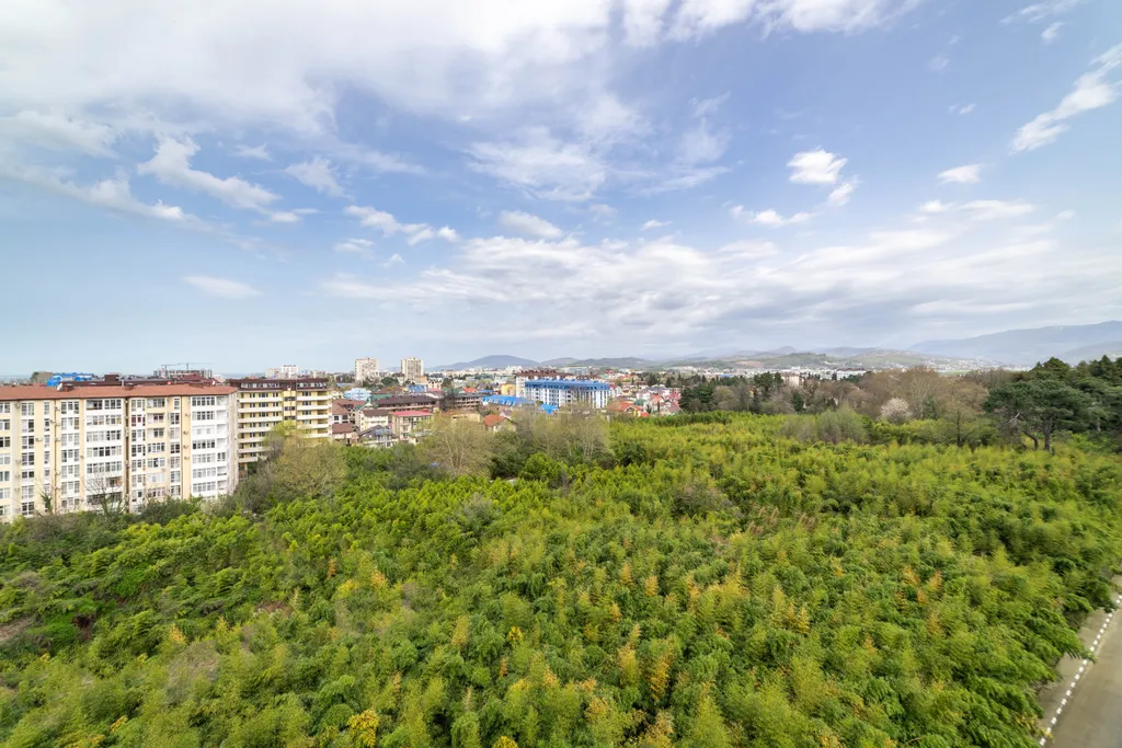 Квартира Квартира Панорама — Сириус