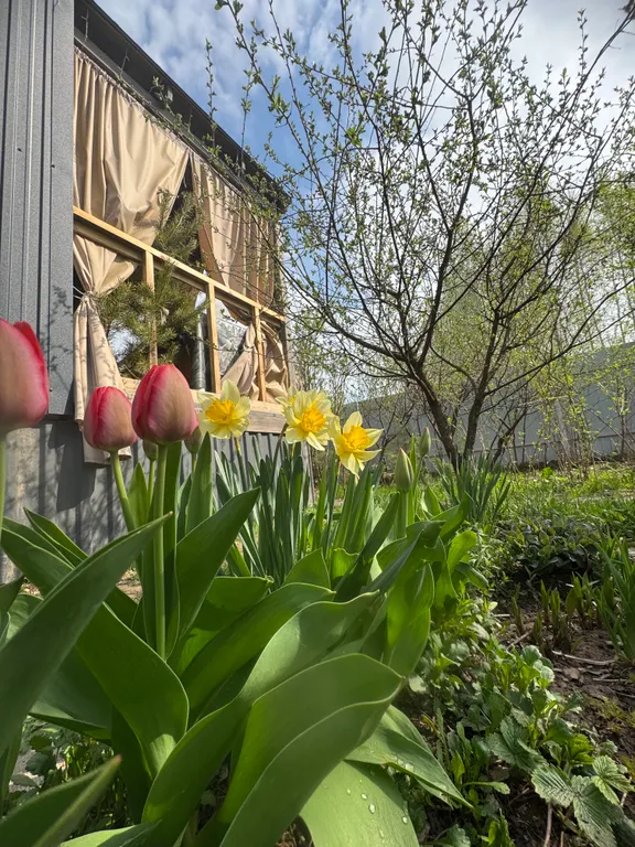 Домик с чаном в 10 минутах от Нижнего Новгорода