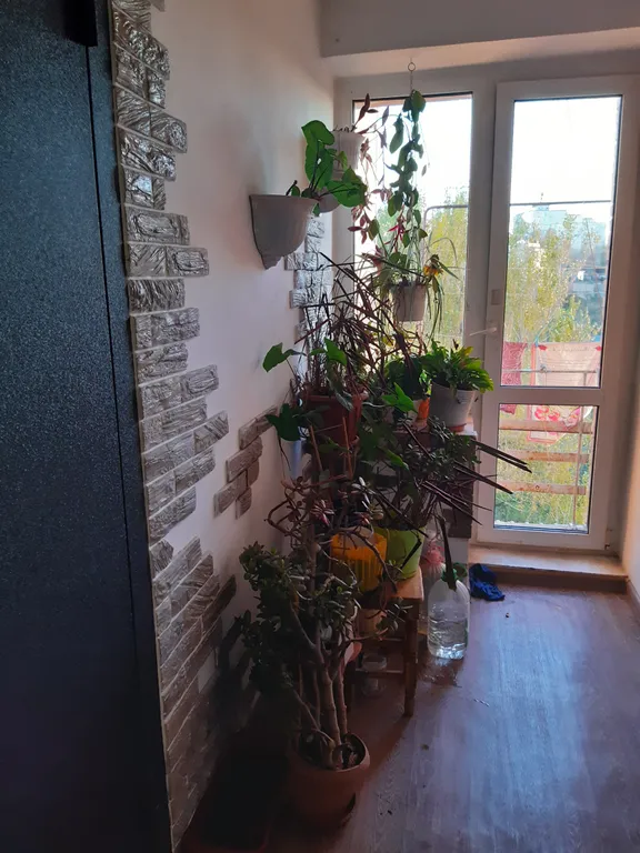 Студия на берегу моря, центр