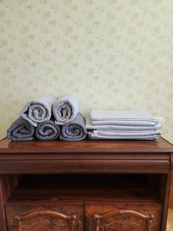 Шикарная евродвушка в центре у театра Кукол