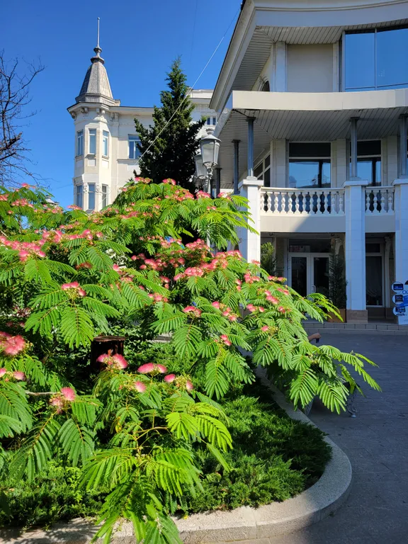 Квартира Уютная двухкомнатная квартира в центре города — Севастополь