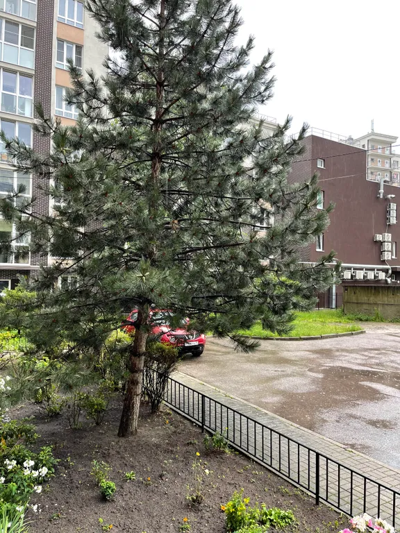 Квартира Видовая квартира в центре Калининграда — Калининград