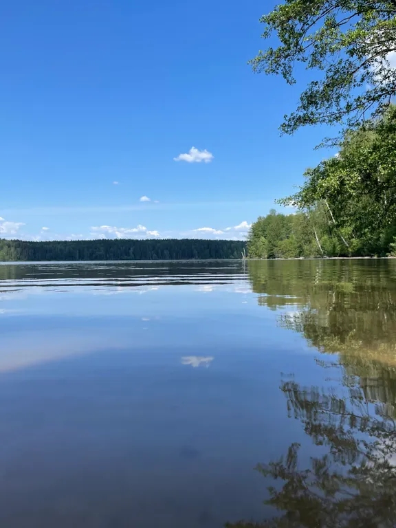 Дом с сауной и купелью в 400 метрах от водохранилища