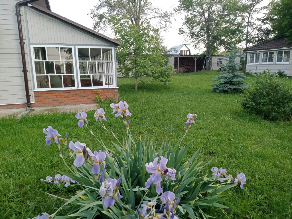 Красивый дом в деревне