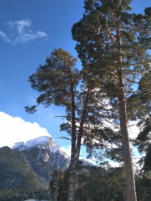 Коттедж Дом с видом на горы — Архыз