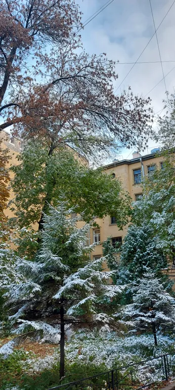 Квартира Квартира Уютная сталинка с видом на триумфальную арку — Санкт-Петербург