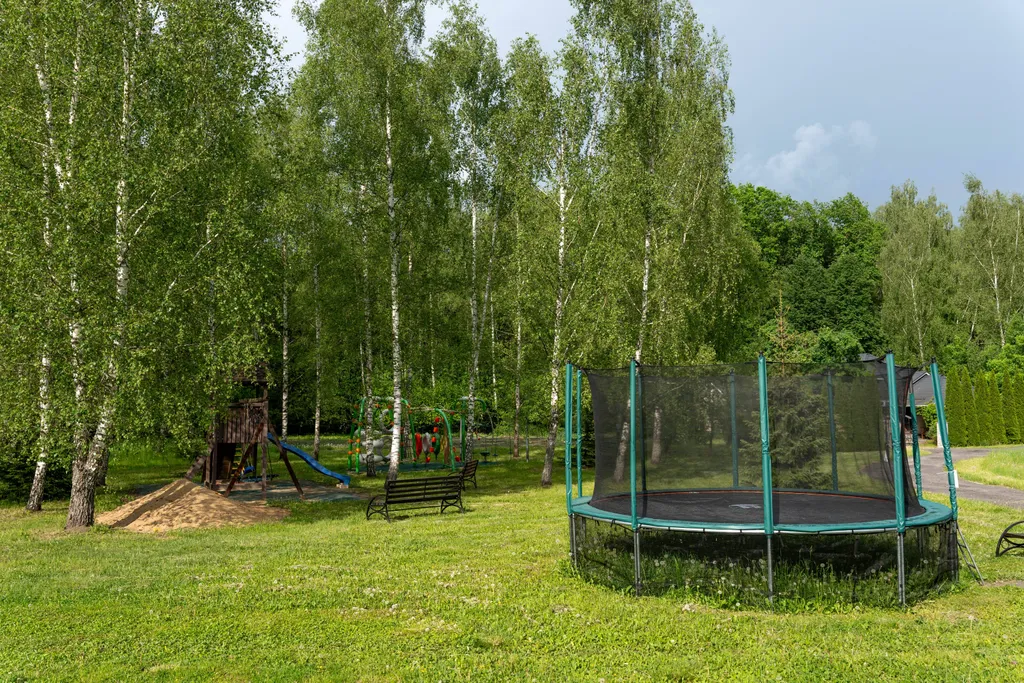 Дом с баней на лесной опушке