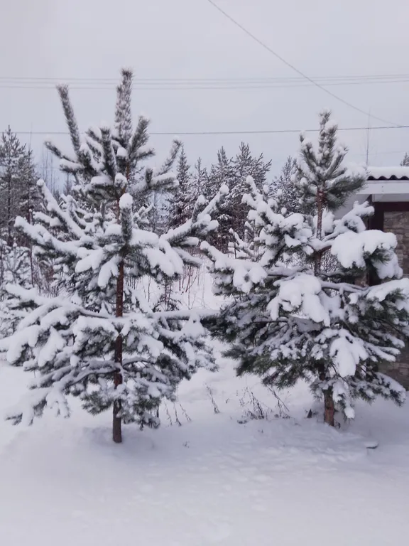 Уютный дом в Карелии