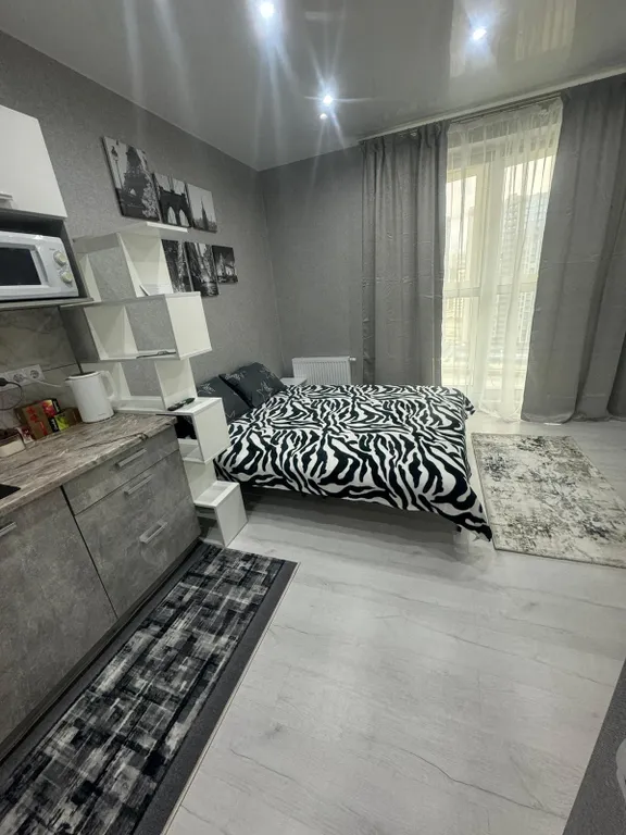 Студия Минск Мир в 5 минутах от метро Аэродромная и ТЦ Авиамолл