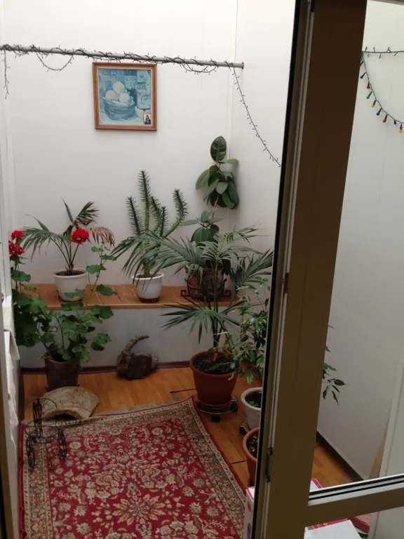 Большой дом с парковочным местом