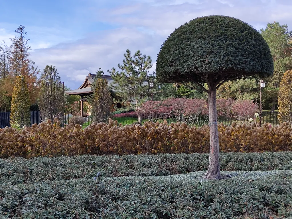 Большая квартира рядом с парком Галицкого с видом на город