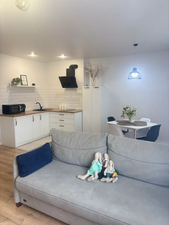 Апартамент scandi в центре города