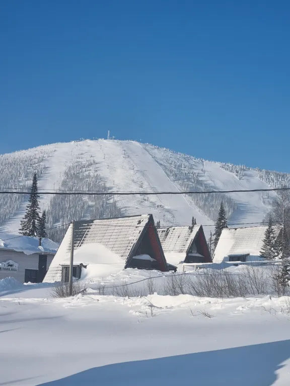 Горы по колено 24