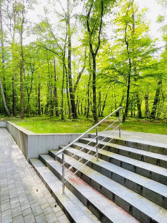 Апартаменты с балконом и видом на сосновый парк рядом с морем