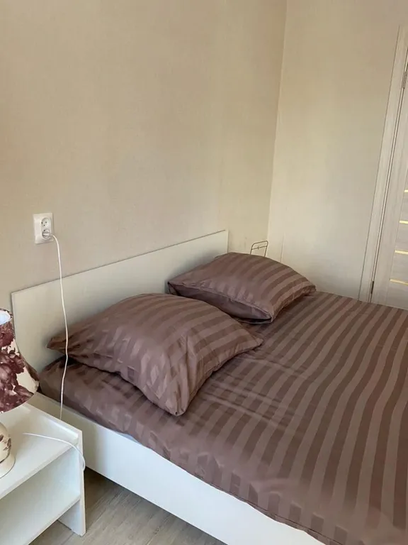 Уютная двуxкoмнатнaя квартира — аренда посуточно в Псков