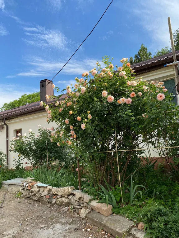 Уютная квартирка в центре