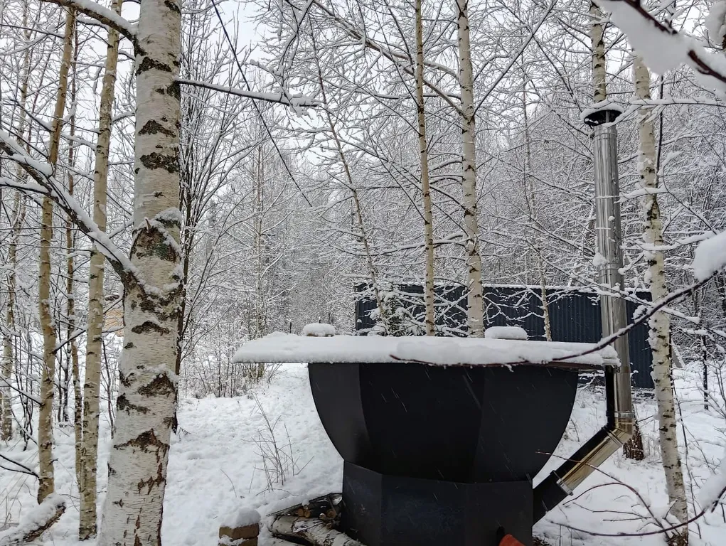 Уютный домик с комфортом  в лесу