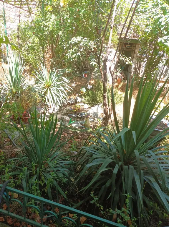 Частный дом рядом с морем