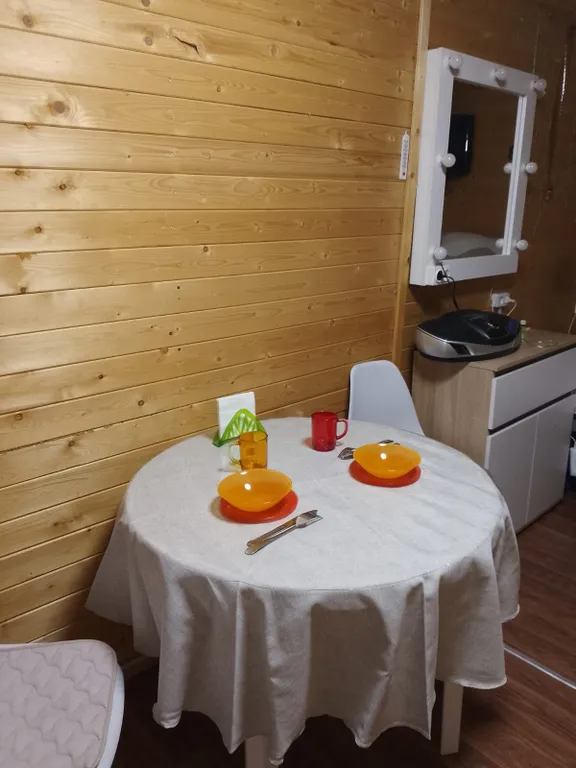 Дом с зоной отдыха на новый год на природе