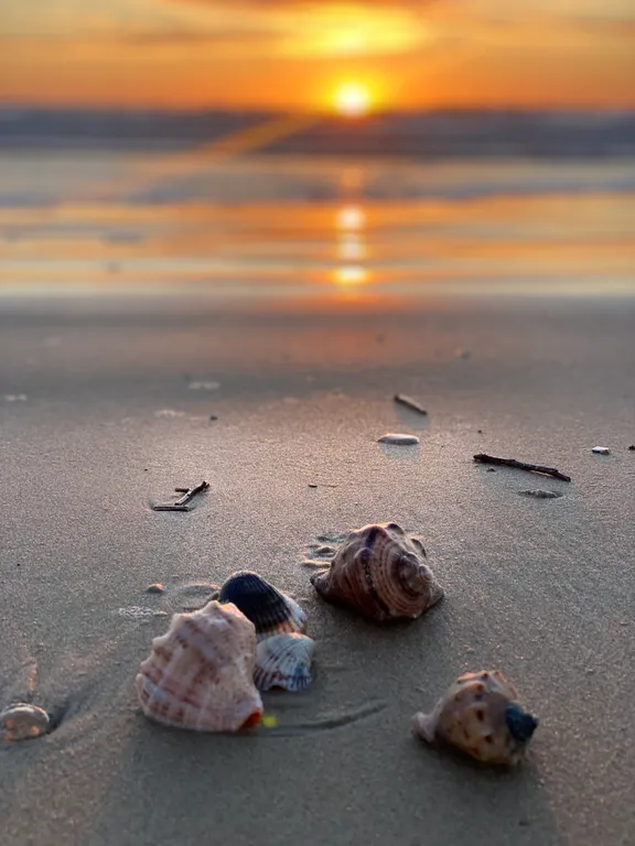 Апартамент полулюкс у моря