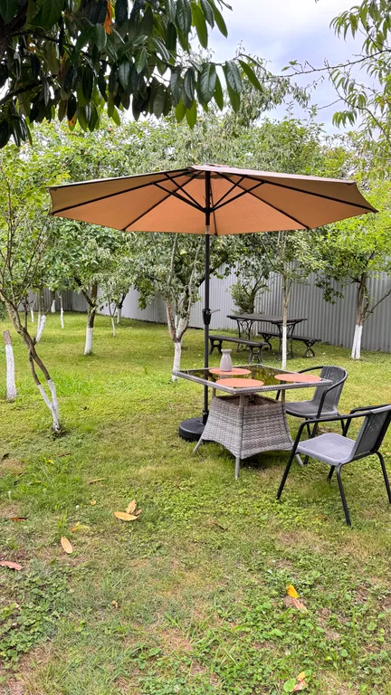 Уютный дом с красивым и вкусным фруктовым садом