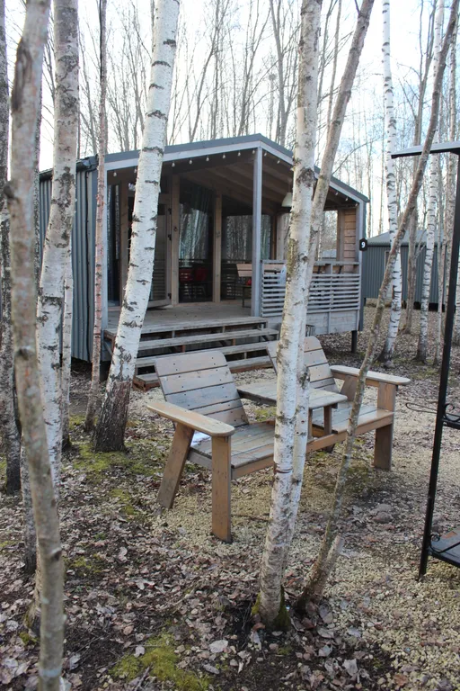 Дом в березовой роще