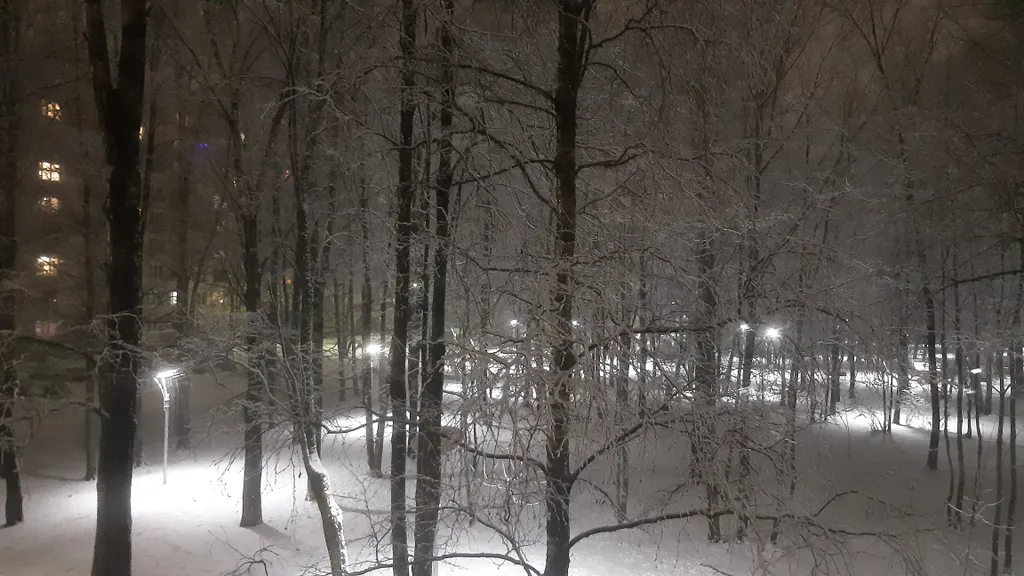 Квартира Квартира с видом на парк — Тихвин