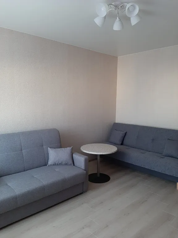 Уютная однокомнатная квартира в Пионерском