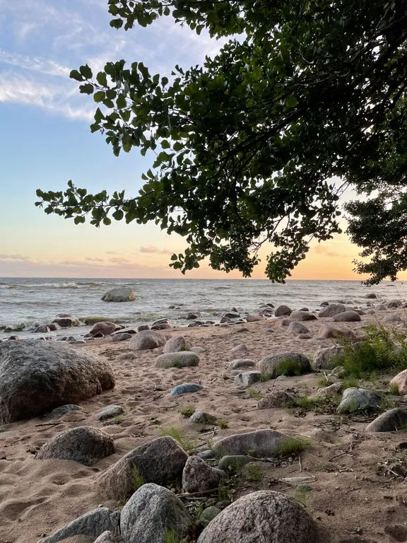 A-frame у Финского Залива посреди Корабельных сосен